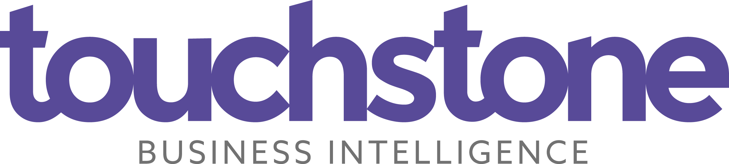 Touchstone Business Intelligence Logo